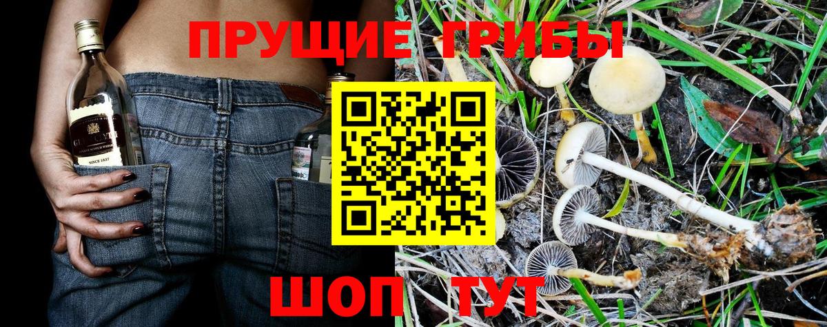 Псилоцибиновые грибы GOLDEN TEACHER  Псилоцибиновые грибы Psilocybine cubensis  Вход с VPN  Луховицы 